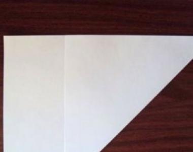 Попугай из бумаги: легкий способ, пошаговый инструктаж Попугай из гофрированной бумаги
